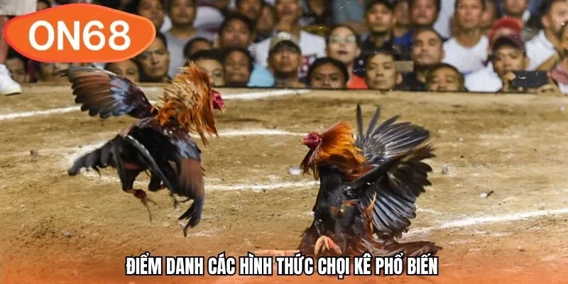 Điểm danh các hình thức chọi kê phổ biến 